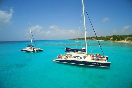Catamarans ancrés dans les eaux turquoise de Carlisle Bay, Barbade