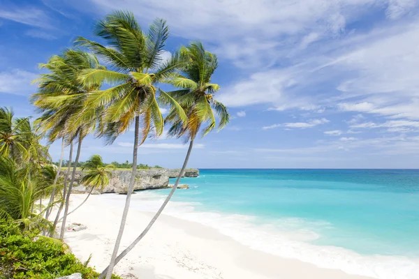 Plage de sable blanc et eaux turquoise calmes, côte ouest de la Barbade