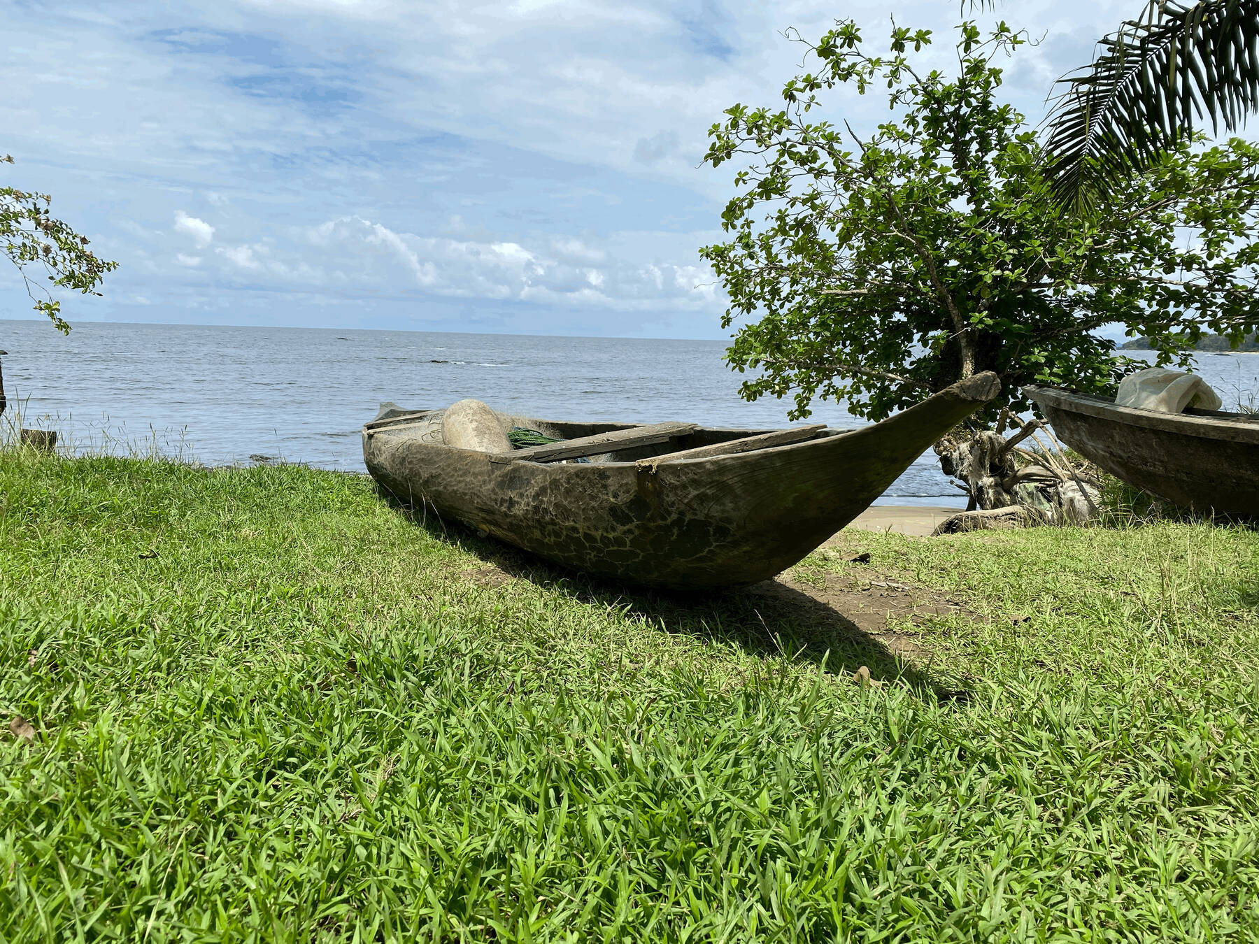 Pirogue traditionnelle sous un arbre face à l'océan, à Kribi