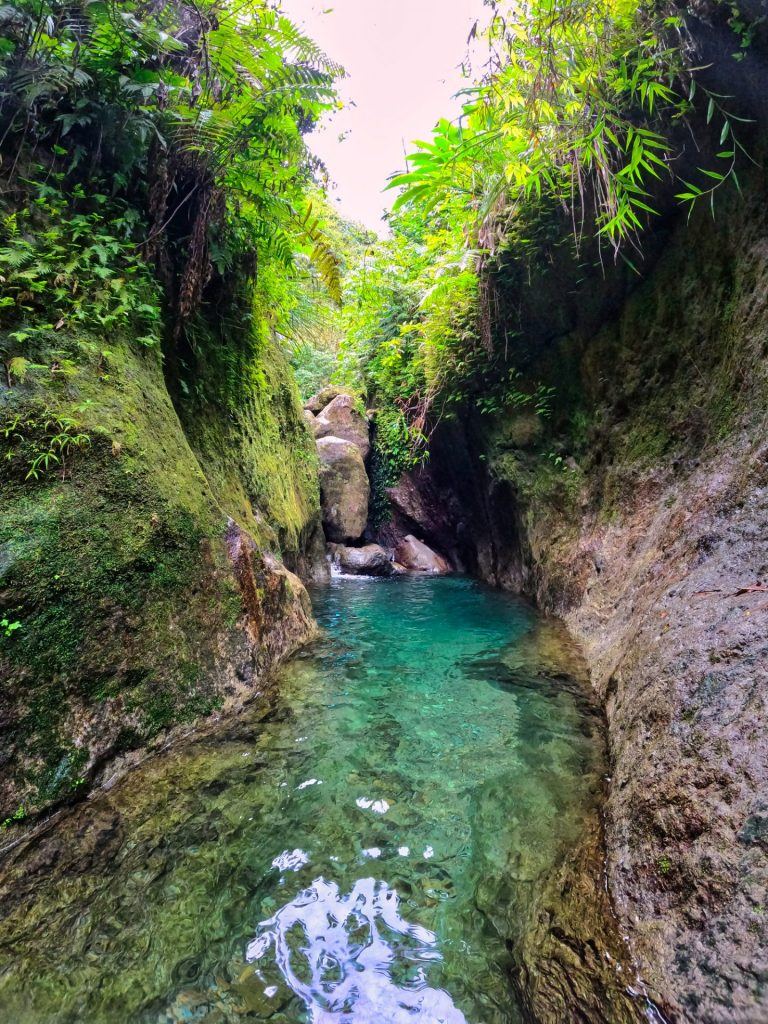 Gorge tropicale et vasque d'eau turquoise entourée de fougères, Martinique